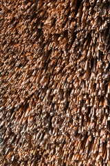 Brown thatch.