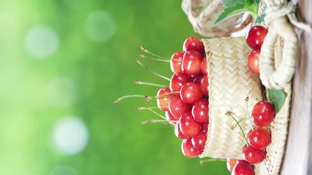 Red Cherry fruit on blurred greenery background, Red highest variety of cherries in white bowl on wooden table in the garden.