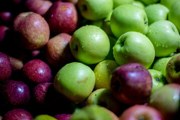 Fresh and tasty mixed apple fruits on the market