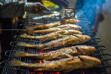 Grilled fish on the grill