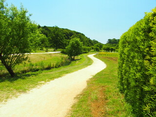初夏の白い道のある21世紀の森と広場風景