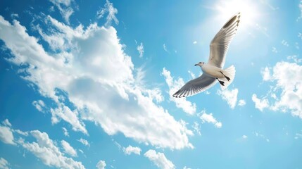 Fototapeta premium Lonely seagull against blue sky