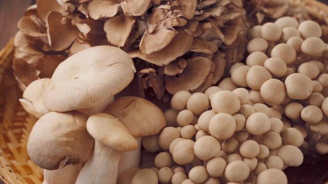 キノコの盛り合わせ（舞茸、エリンギ、ぶなしめじ）