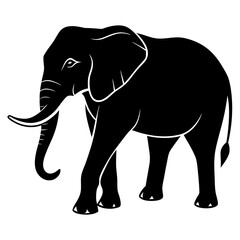 Fototapeta premium Elephant silhouette vector Illustration.