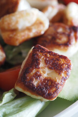 closeup of serve grilled Halloumi cheese.