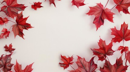 Obraz premium Autumn and End of Year Web Banner Design with Isolated Red Maple Leaves