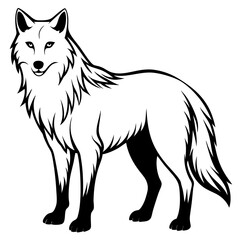 vector illustration of wolf