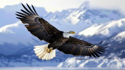 Majestic American Bald Eagle Soaring Gracefully in the Sky