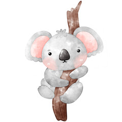 Cute Koala watercolor, koala png, Koala bear