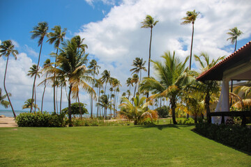 tropical resort with trees