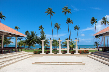 Fototapeta premium beach with palm trees