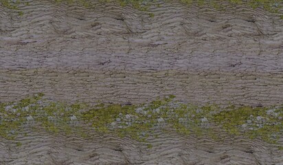 bark wood grain wood background bark texture 3D illustration