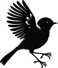 Bird silhouette isolated on vector illustration. 