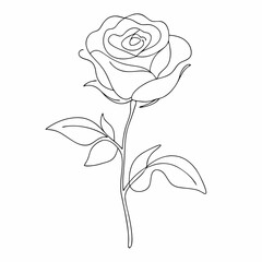 Continuous one line drawing Rose Line art Abstract minimal Beautiful flower (25)