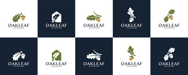 collection of creative logo oak leaves and acorns , squirrel , natural ecosystem , protection , logo design vector. © dhulpikir
