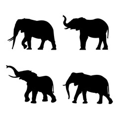 Fototapeta premium Elephant silhouette vector illustration. Elephant animal flat vector design for mascot cartoon.