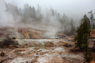 yellowstone national park