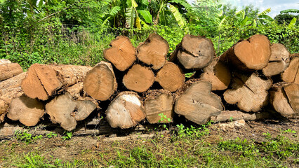 Real photos of logs, logs that haven't been trimmed on the outside. Stack them in an area filled with forest and grass.
