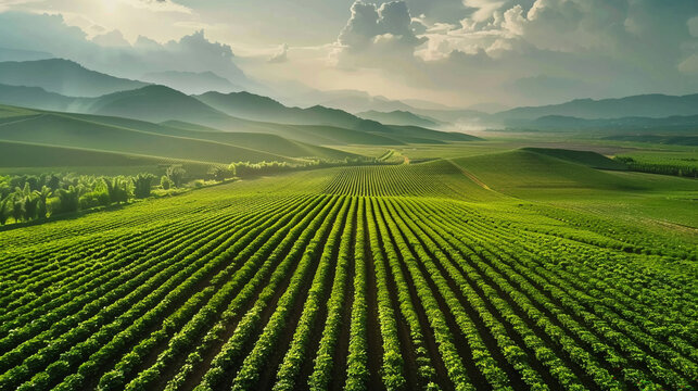 Chinese agritech company exporting smart farming solutions to Africa.