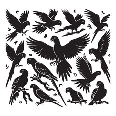 Obraz premium SVG Black silhouettes of parrots on a white background