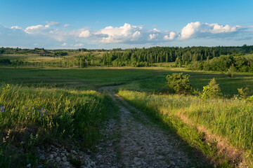 View of the country road through the Izborsko-Malskaya valley on a sunny summer morning, Izborsk, Pechersk district, Pskov region, Russia