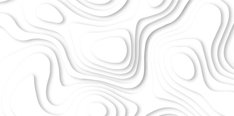 Abstract wavy line 3d paper cut white background. Smooth shape paper cut wavy shaped layers topographic background. 