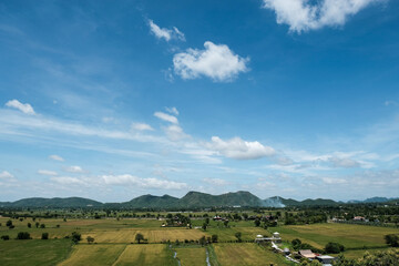 Green rice field with mountain and blue sky background.