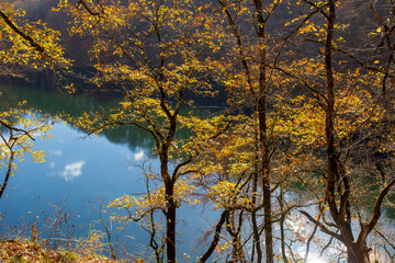 autumn day on a mountain lake of karst origin surrounded by a yellowing forest