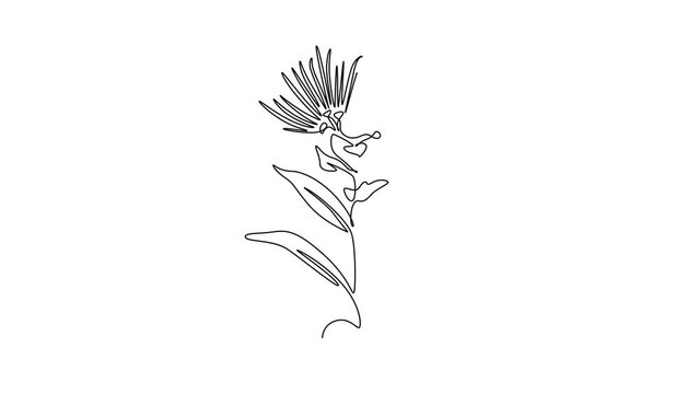 Beautiful flower concept. Single line draw design. Full length animation illustration. High quality 4k footage.