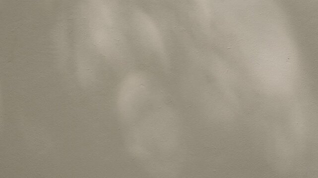 Abstract shadow of natural leaves tree branch falling on the wall