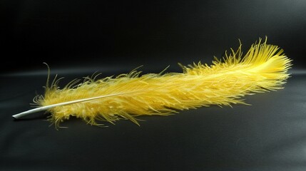   A yellow feather on a black background with a white tip