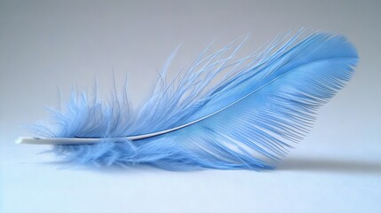 Obraz premium Blue feather close-up with toothbrush in fg, white wall in bg