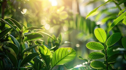 Fototapeta premium Green plants under sunlight as a backdrop ecological greenery