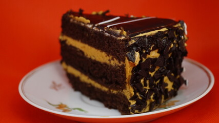 piece of cake with chocolate on the plate