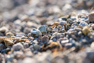 Round brounded rocks on a beach.