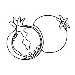 Pomegranate fruit one line art drawing 