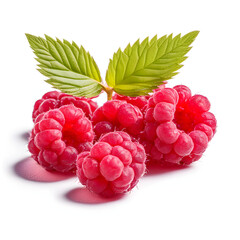 Fresh and delicious looking raspberries
