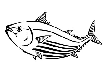 跳ねるカツオの手書き線画イラスト