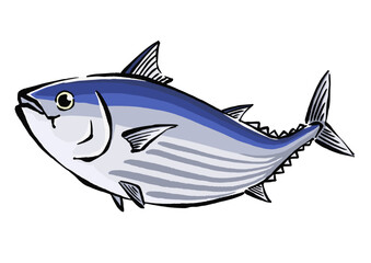 跳ねるカツオのイラスト　鰹の手書きイラスト
