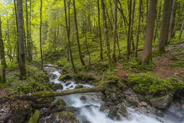 Obraz premium Rothbach Waterfall near Konigssee lake in Berchtesgaden National Park, Germany