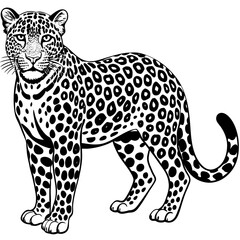 Fototapeta premium leopard vector illustration