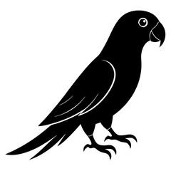 bird on a white background