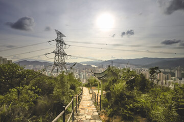 Obraz premium Scenic Views at Kam Shan Country Park June 25 2021