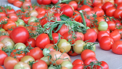 Green and red tomatoes that sell in a fresh market.