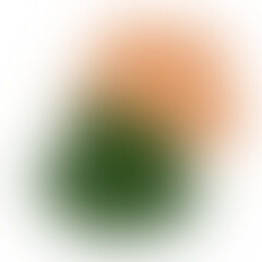 Abstract Gradient Shapes Decoration