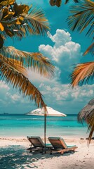 Two beach chairs sit under a palm tree on a sunny day