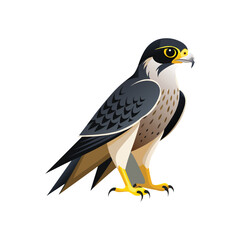 Soaring Eagle Vector Art Illustration