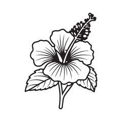 Fototapeta premium Graceful Hibiscus Flower With Leaf Art