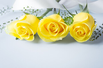 Rose flower bouquet with white ribbon on light blue background