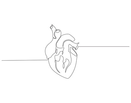 recommend clip art: Continuous one line drawing of human heart. One line drawing illustration of heart. Human organ, World heart day concept line art. Editable outline.